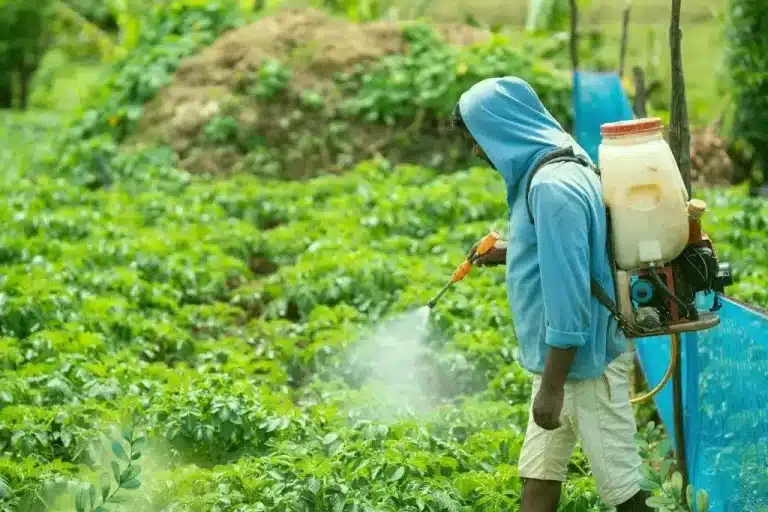 氨基酸肥料：应用指南