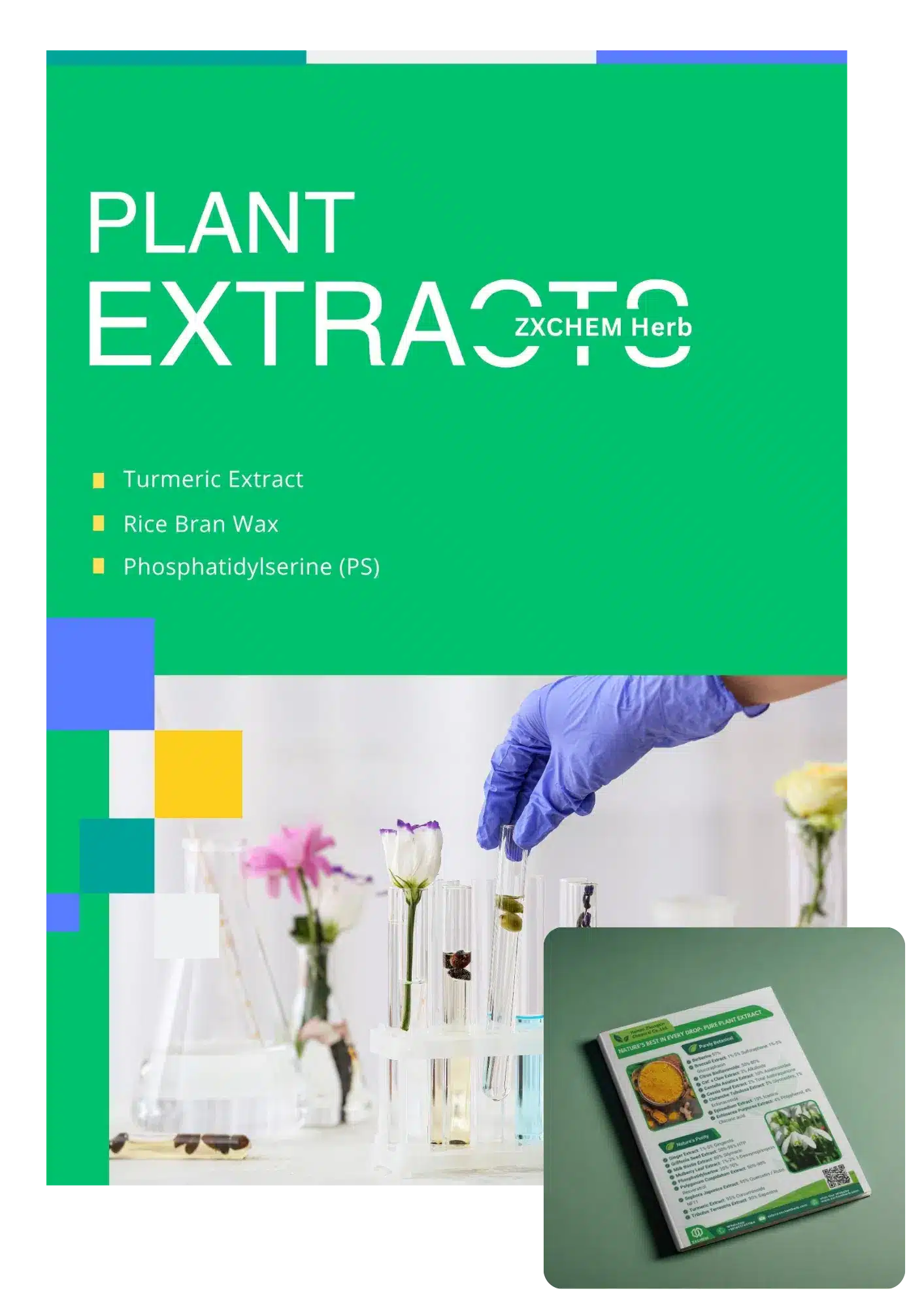 ZXCHEM植物提取物海报封面